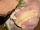 photo thumbnail #14