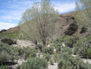 photo thumbnail #3