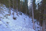 photo thumbnail #7