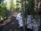 photo thumbnail #3