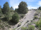 photo thumbnail #3