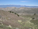 photo thumbnail #4