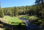 photo thumbnail #7