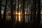 photo thumbnail #12