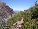 photo thumbnail #9