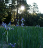 photo thumbnail #1