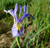 photo thumbnail #2