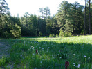 photo thumbnail #5