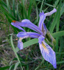 photo thumbnail #6