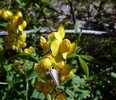 photo thumbnail #11