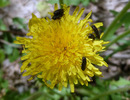 photo thumbnail #12