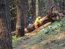photo thumbnail #7
