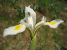 photo thumbnail #8