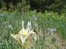 photo thumbnail #10
