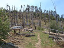 photo thumbnail #13