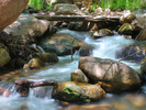 photo thumbnail #6
