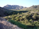 photo thumbnail #1