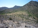 photo thumbnail #8