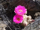 photo thumbnail #10