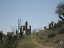 photo thumbnail #3