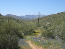 photo thumbnail #5