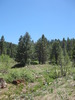 photo thumbnail #8
