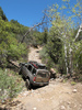 photo thumbnail #6