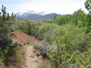 photo thumbnail #1