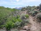 photo thumbnail #8