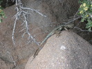 photo thumbnail #11