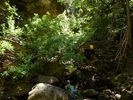 photo thumbnail #12