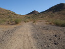 photo thumbnail #2