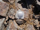 photo thumbnail #8
