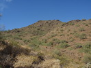 photo thumbnail #15