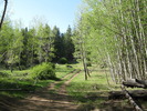photo thumbnail #6