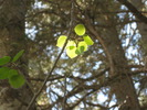 photo thumbnail #11