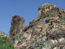 photo thumbnail #14