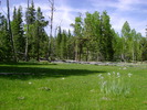 photo thumbnail #5
