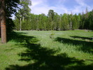 photo thumbnail #8