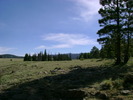 photo thumbnail #10