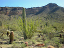 photo thumbnail #2