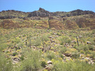 photo thumbnail #4