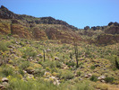 photo thumbnail #5