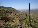 photo thumbnail #6