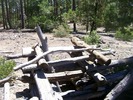 photo thumbnail #5