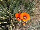 photo thumbnail #7