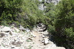 photo thumbnail #6