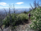 photo thumbnail #1