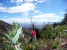 photo thumbnail #3