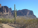 photo thumbnail #2